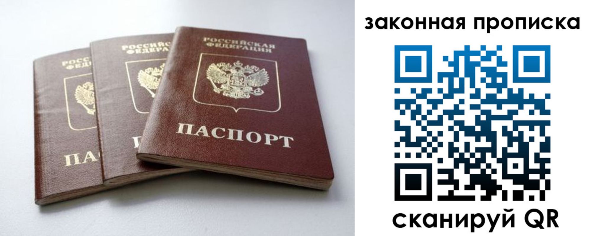 временная регистрация для школы в Борзе